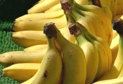 Receita de Bolo de banana com farinha de rosca