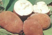 Receita de Doce de Cupua��