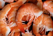 Receita de Creme de Camar�o Castanha-do-Par�