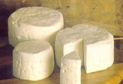 Receita de Ricota