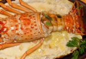 Lagosta Gratinada