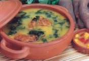 Receita de Pato no Tucupi