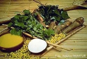 Receita de Tucupi