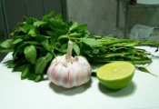 Receita de Tempero Verde