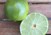 Receita de Batidas de Lim�o ou de Fruta �cida