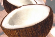 Receita de Ambr�sia de C�co