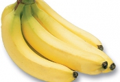 Receita de God�