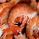 Camar�o Gratinado